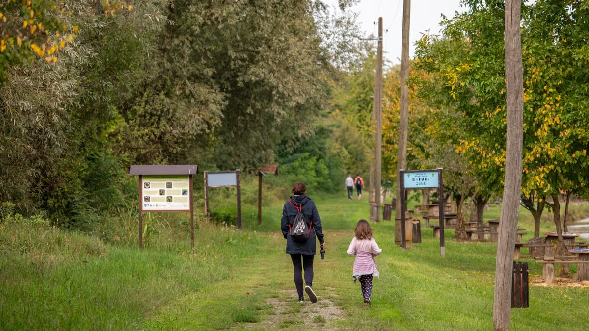Zdravlje obitelji kroz zajedničke aktivnosti